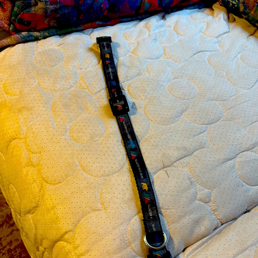Glacier National Park Dog collar